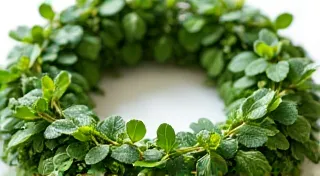The Hops' Legacy: How the Cultivation of Hops Defined a Region’s Identity