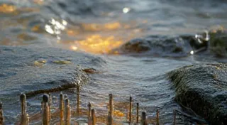 The Water's Whisper:  Exploring Aquifers & The Unseen Foundation of Regional Beer